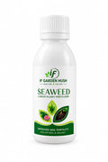 Seaweed