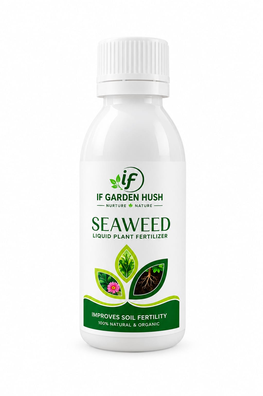 Seaweed