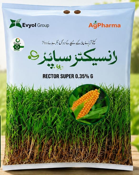 Insecticides Rector Super