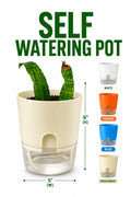 Self Watering Pot