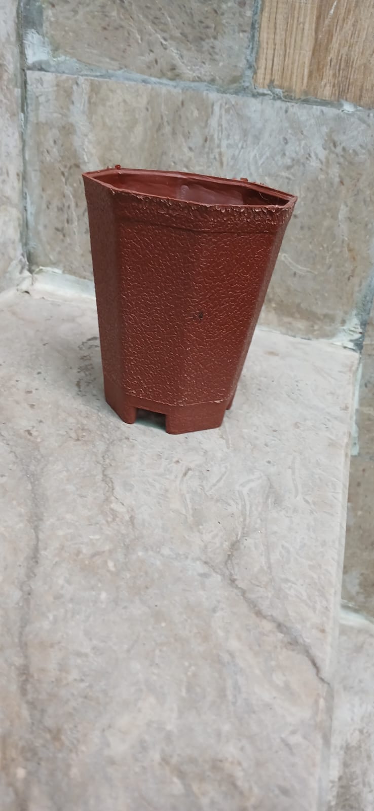Cactus Pot
